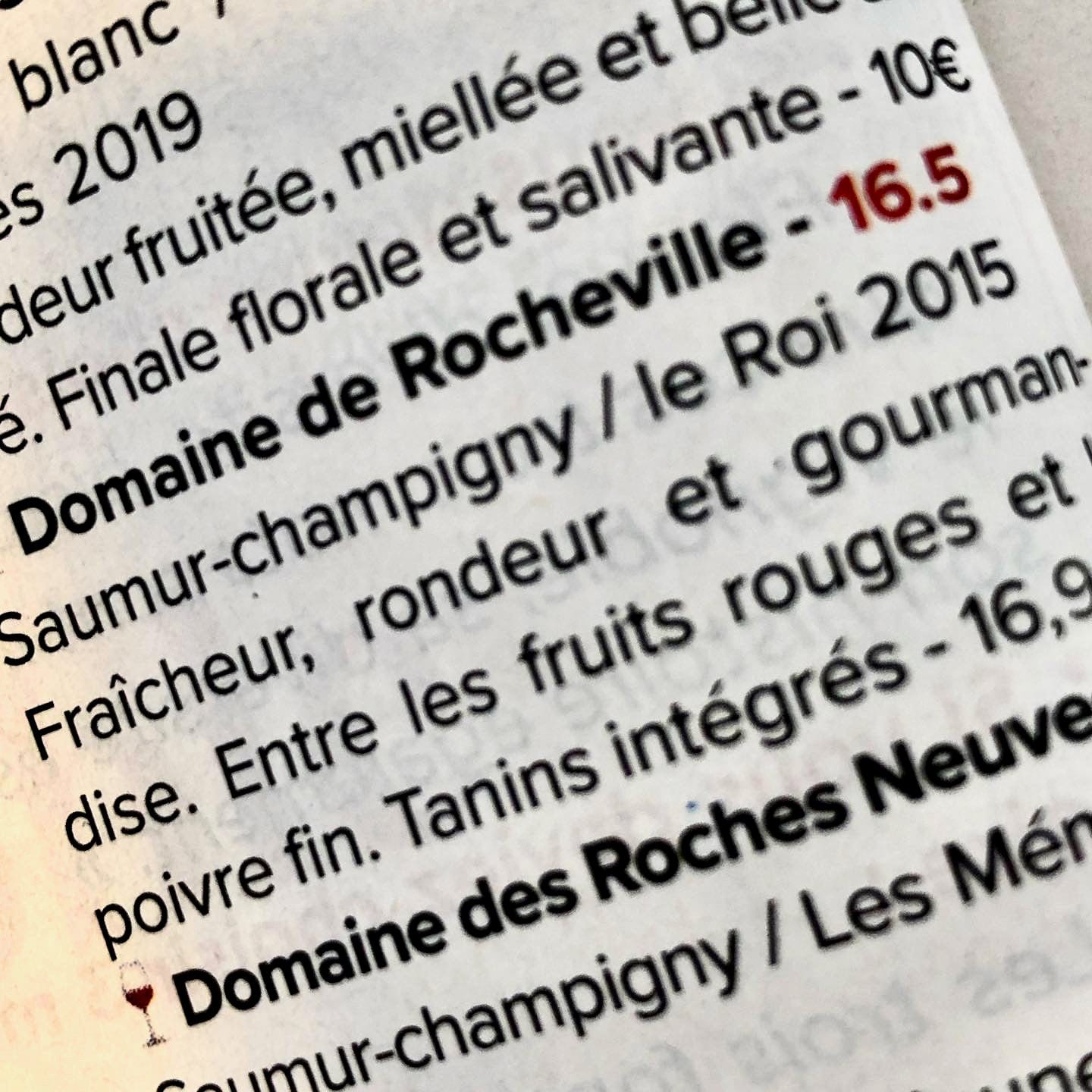 Green Wish 2023 (AOC Saumur-Champigny)