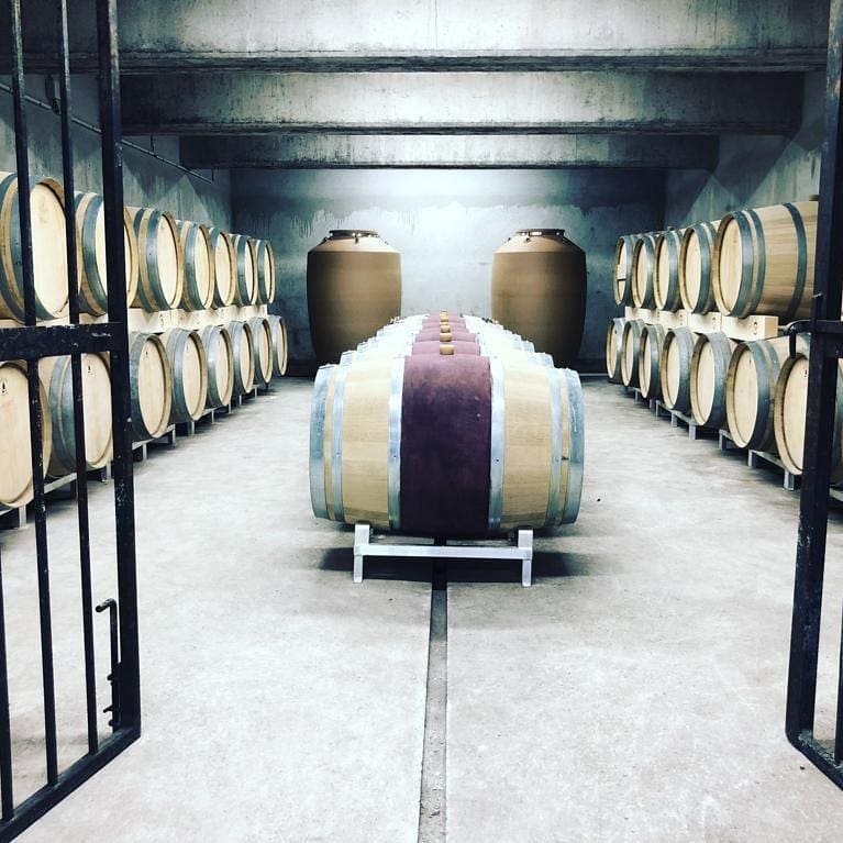 Bob Singlar rouge 2024 (Vin de France)