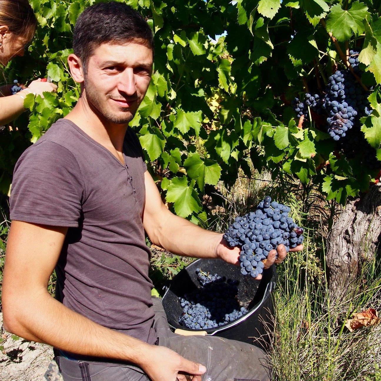 Let it BIB - La Combe au Mas (Marie-Sophie Jullien & Thomas Ayoun) - cubi bio - bib bio - vin nature
