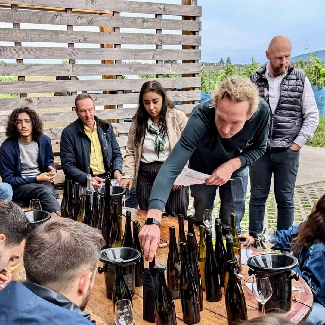 Bang-Bang ! (Vin de France)