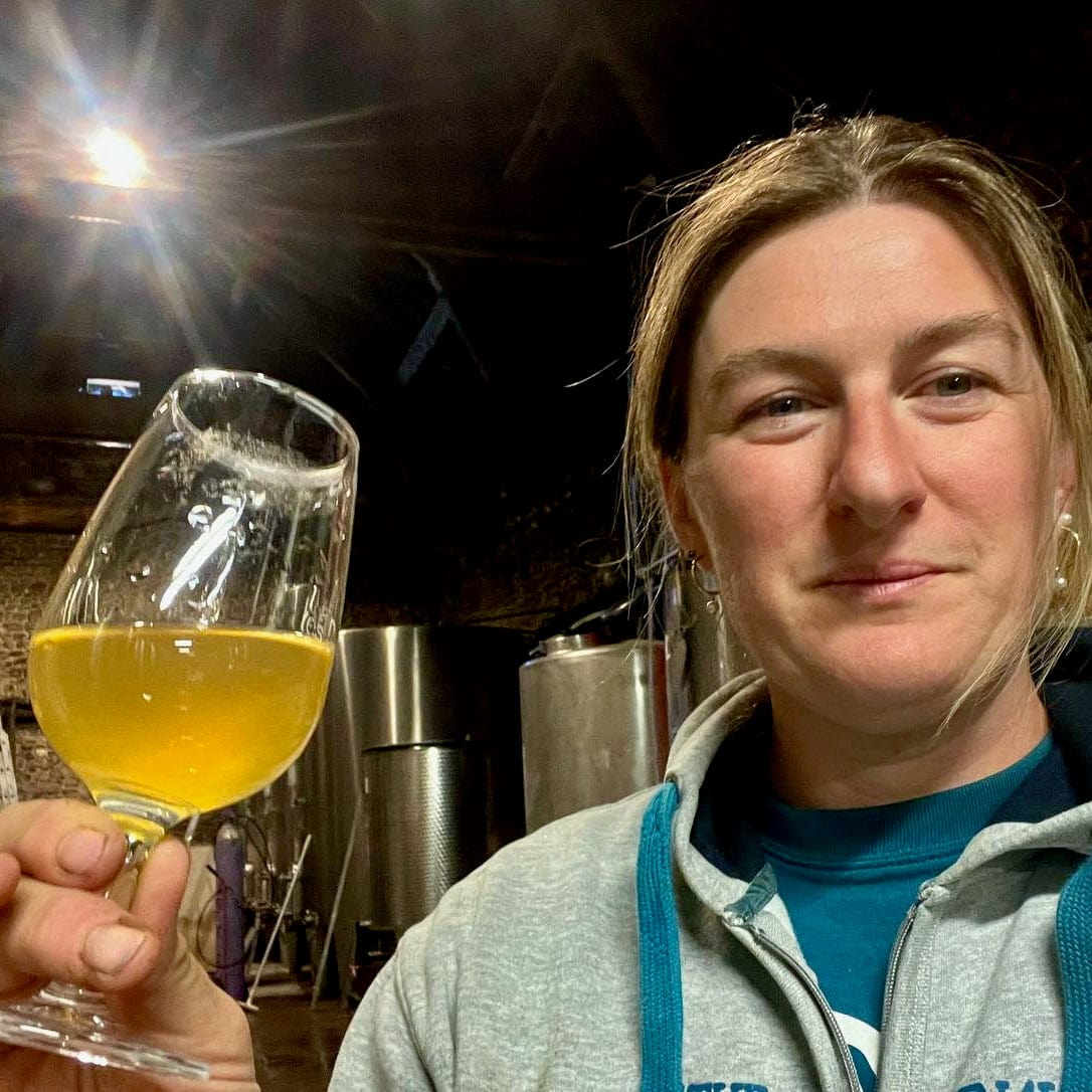 Pierres d'aurèle - let it bib - touraine - côt - pineau d'aunis - chenin - bib bio - cubi bio - cubi vin nature - bib vin nature - 3