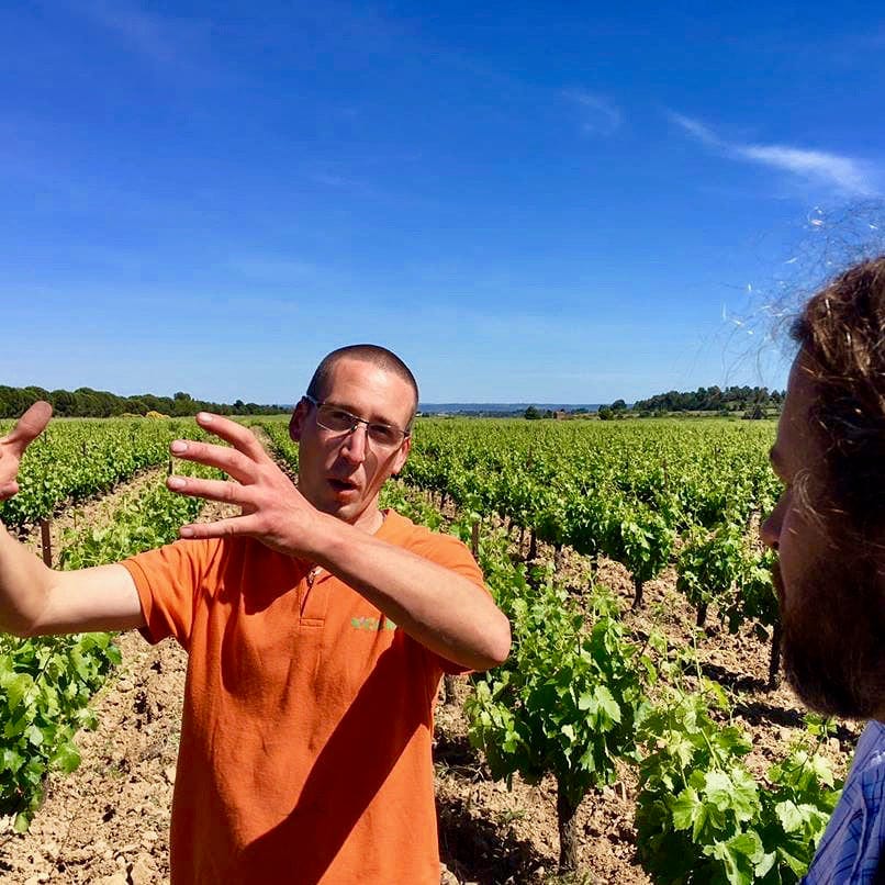 Tralari - clos des jarres-Vivien Hemelsdael - syrah grenache carignan - minervois - cubi bio - bib bio - vin nature