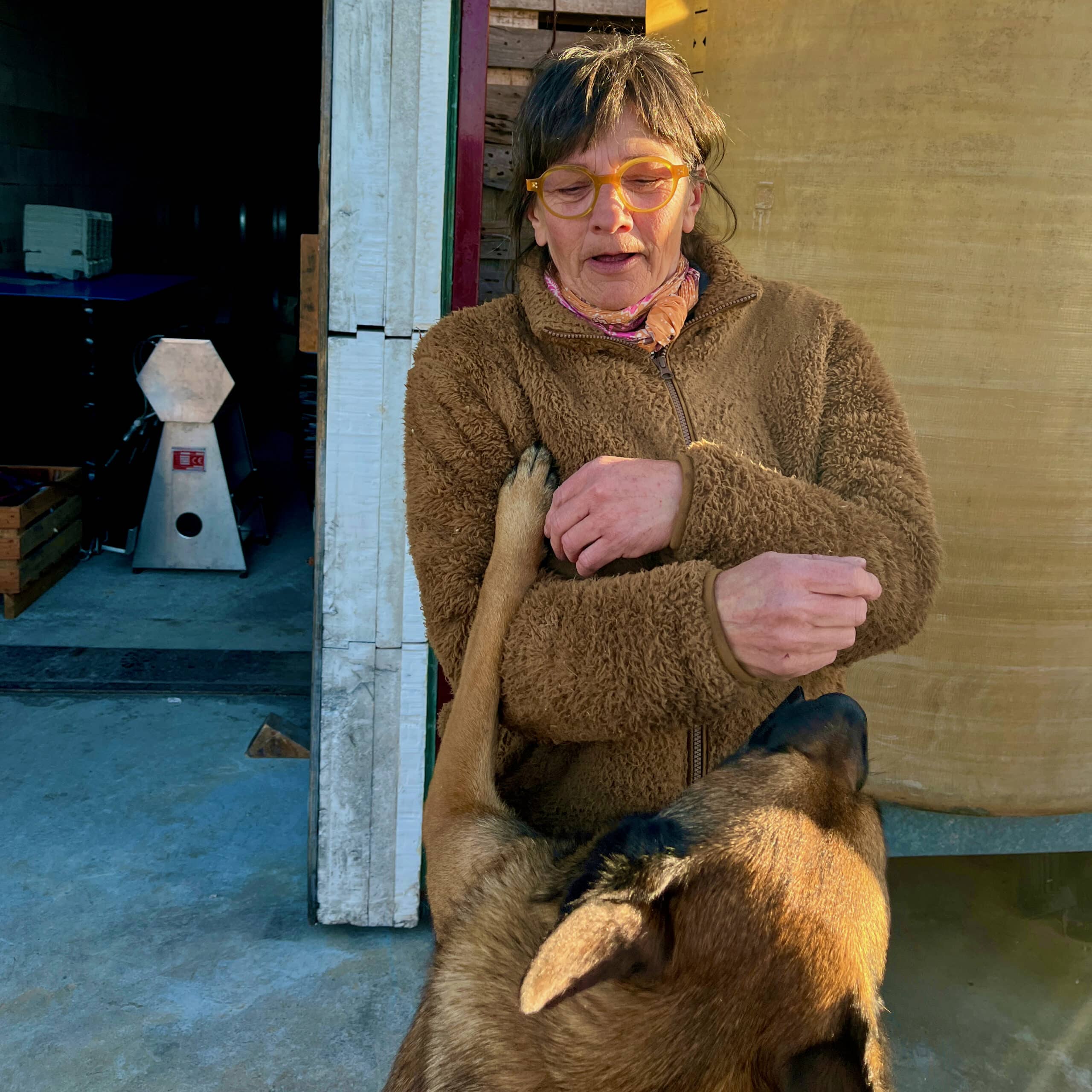 catherine bernard - maintenant - carignan - grenache - bib bio - cubi bio - vin nature - let it bib - 11