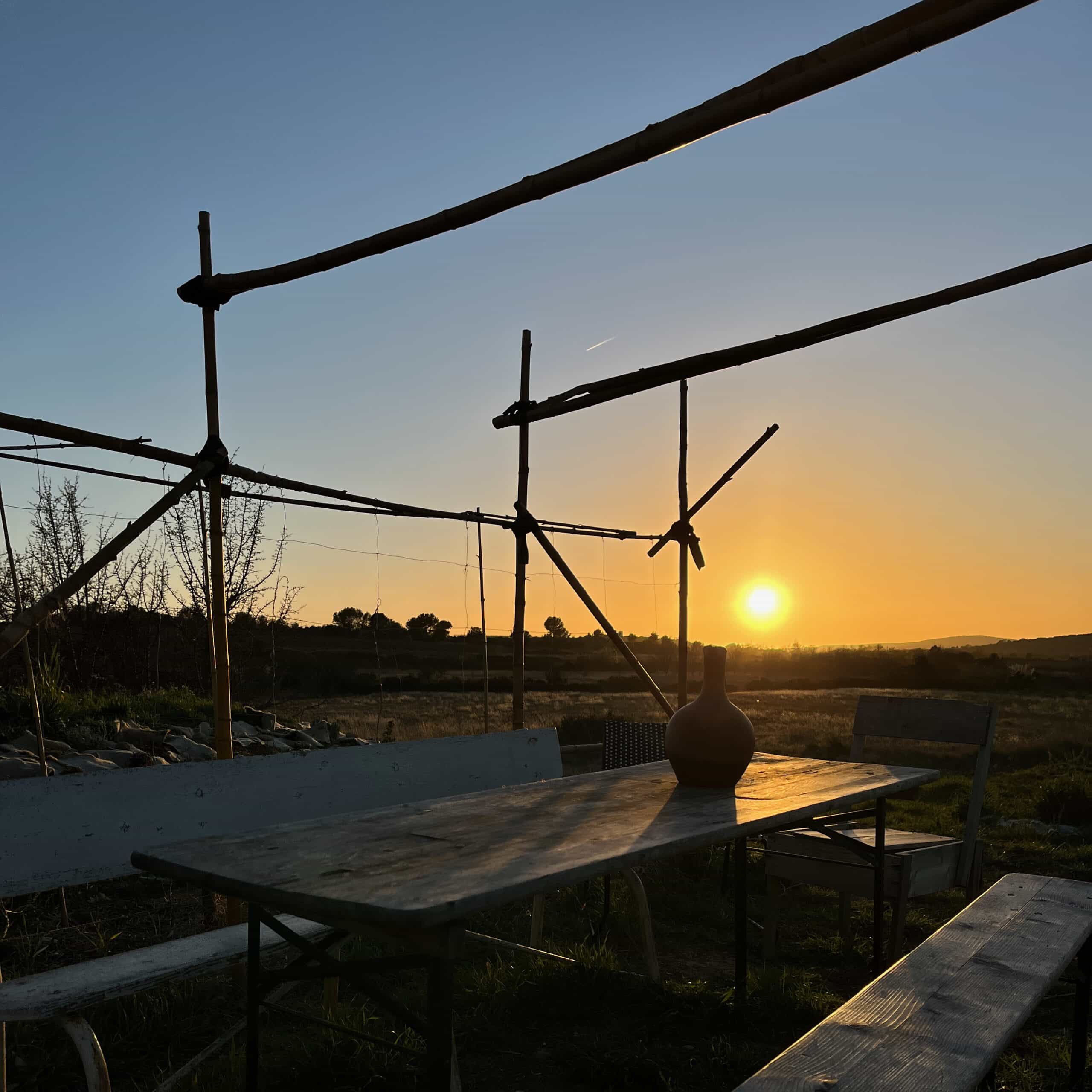 catherine bernard - maintenant - carignan - grenache - bib bio - cubi bio - vin nature - let it bib - 6