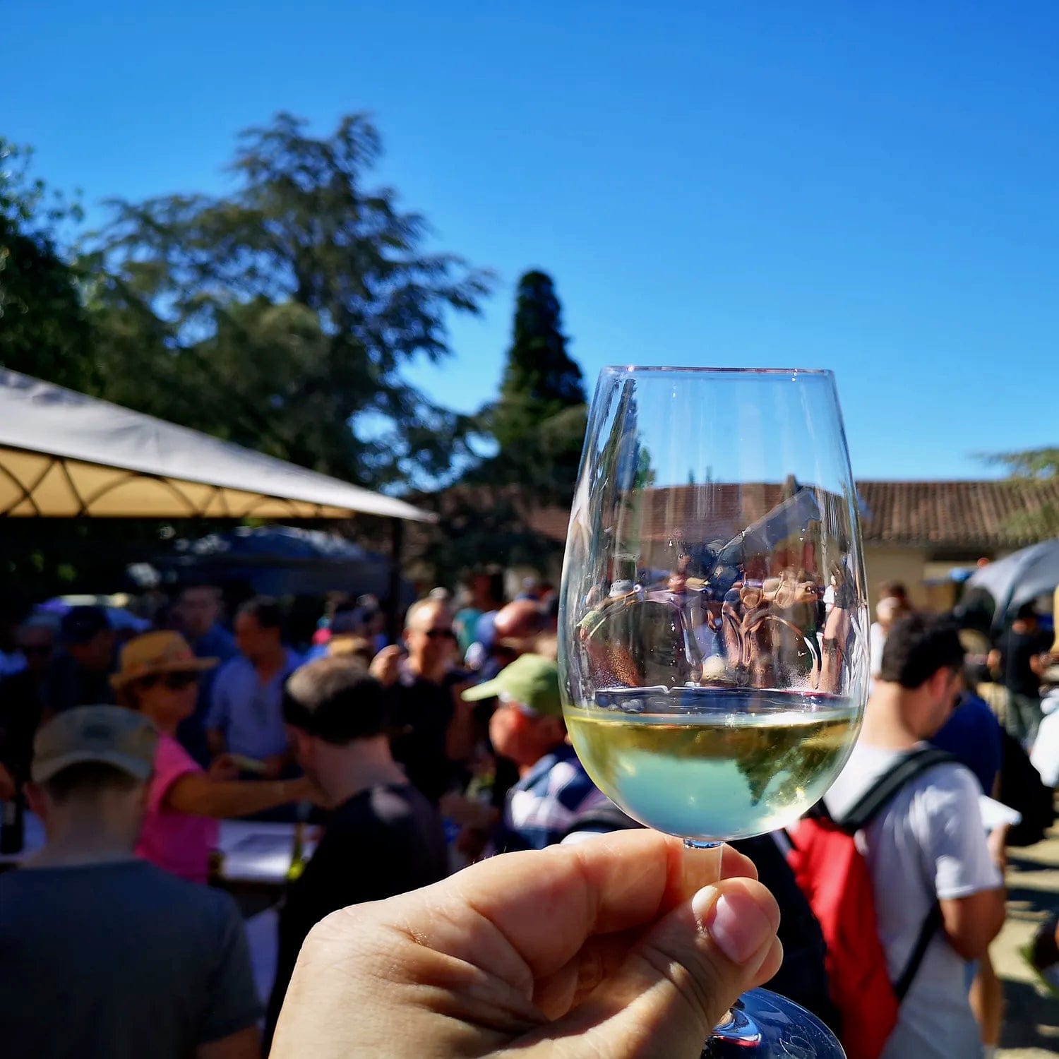 Pot de vin 2023 (Vin de France)