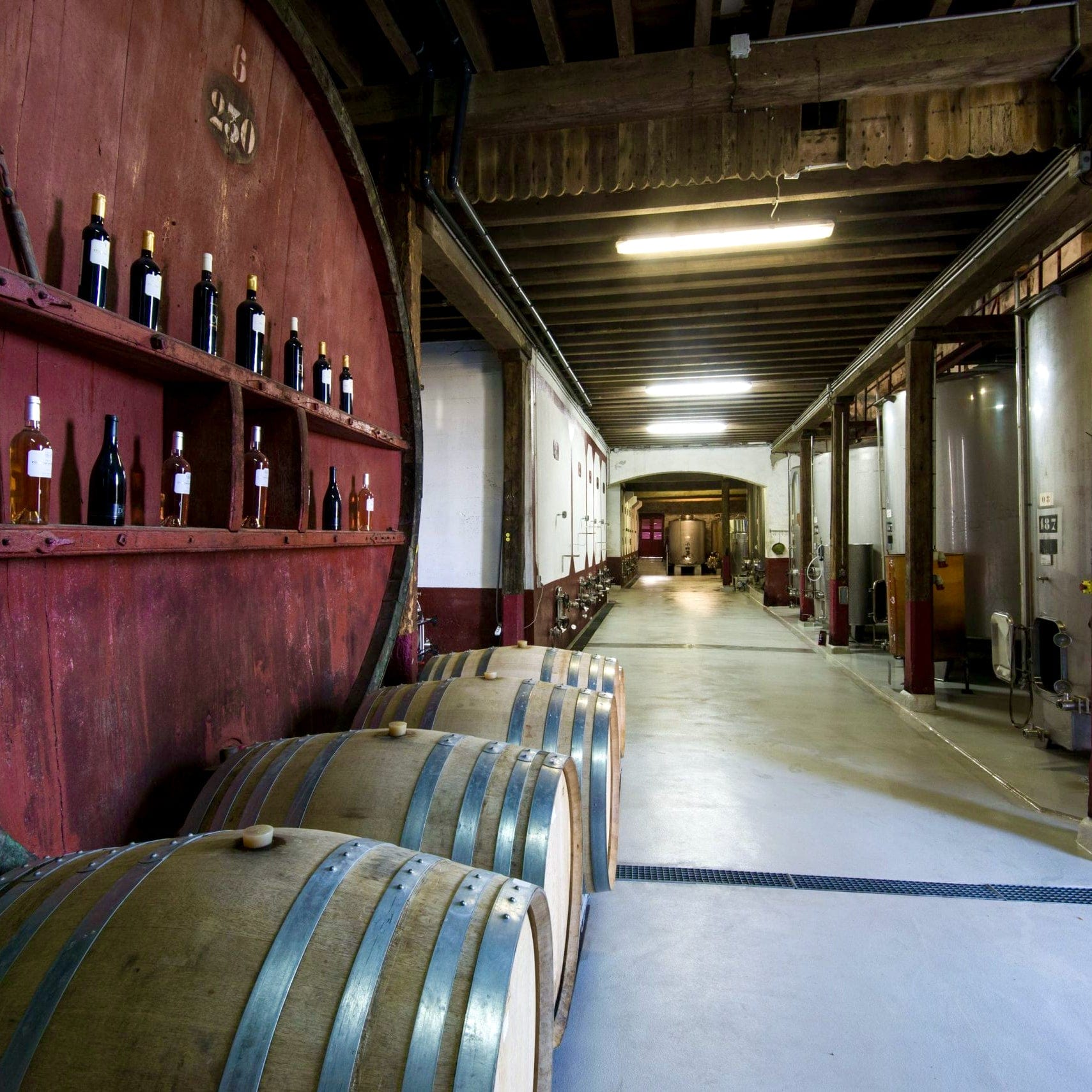 Pot de vin 2023 (Vin de France)