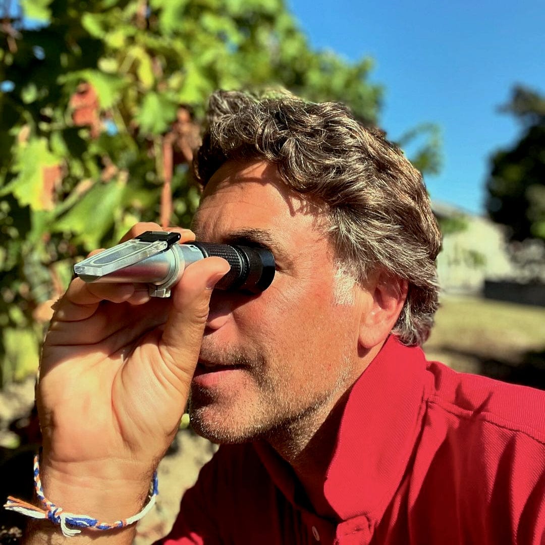 Pot de vin 2023 (Vin de France)