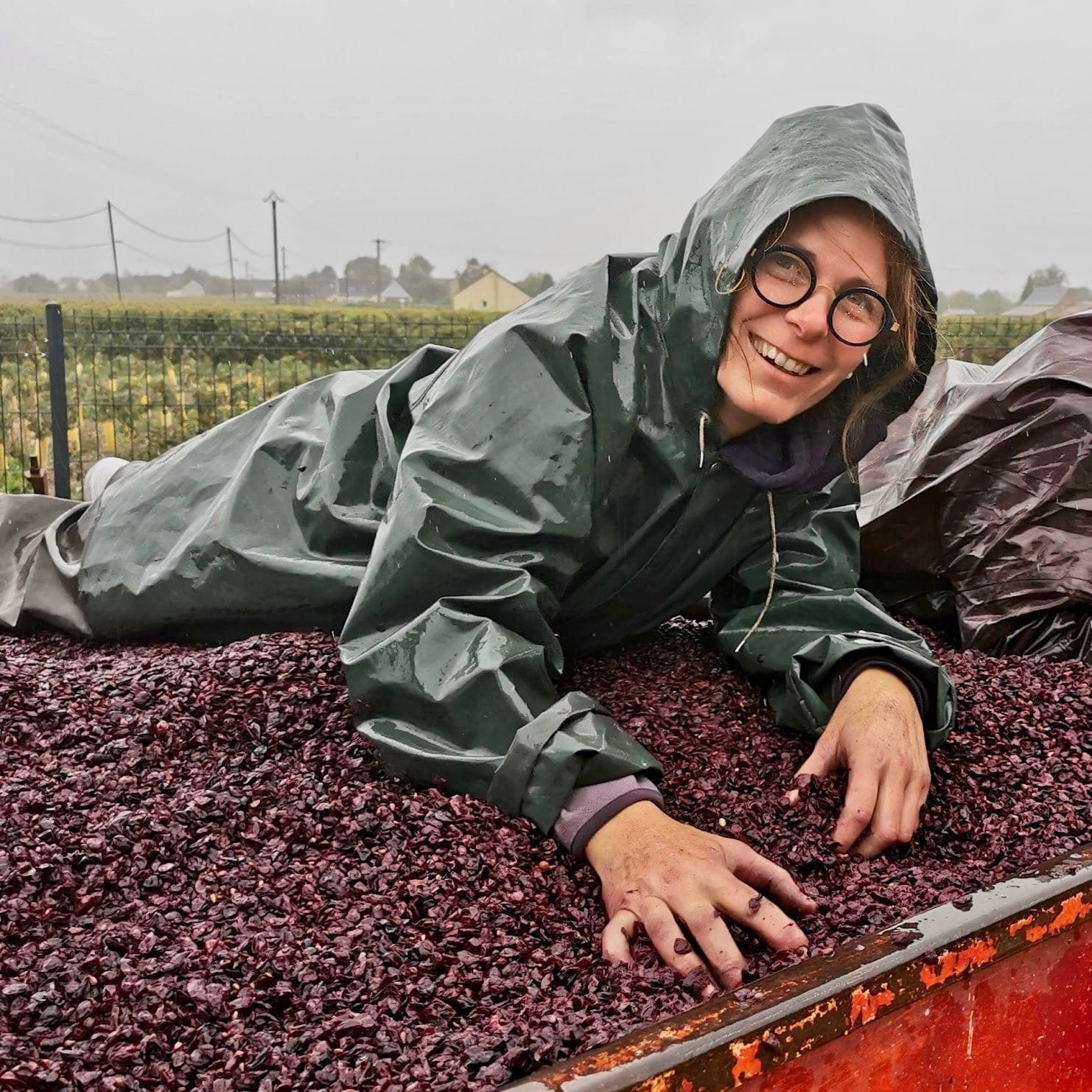 domaine ansodelles - anne rouxelin - bourgueil - cabernet franc - bib bio - cubi bio - vin nature - let it bib - 5