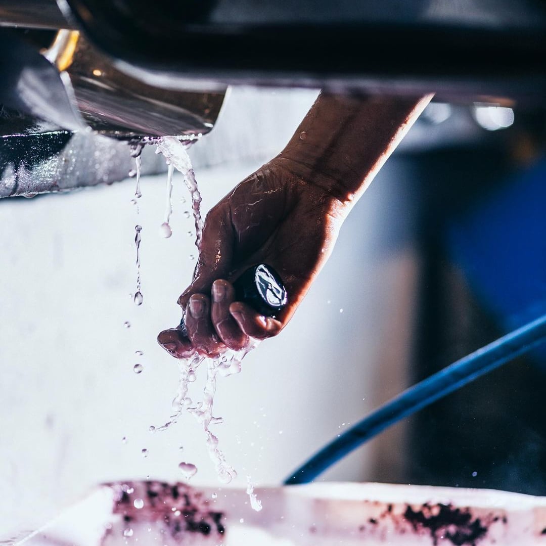 domaine bobinet - emeline calvez - sébastien - saumur - let it bib - vin nature - vin bio - bib bio - cubi bio - vin bio - 13