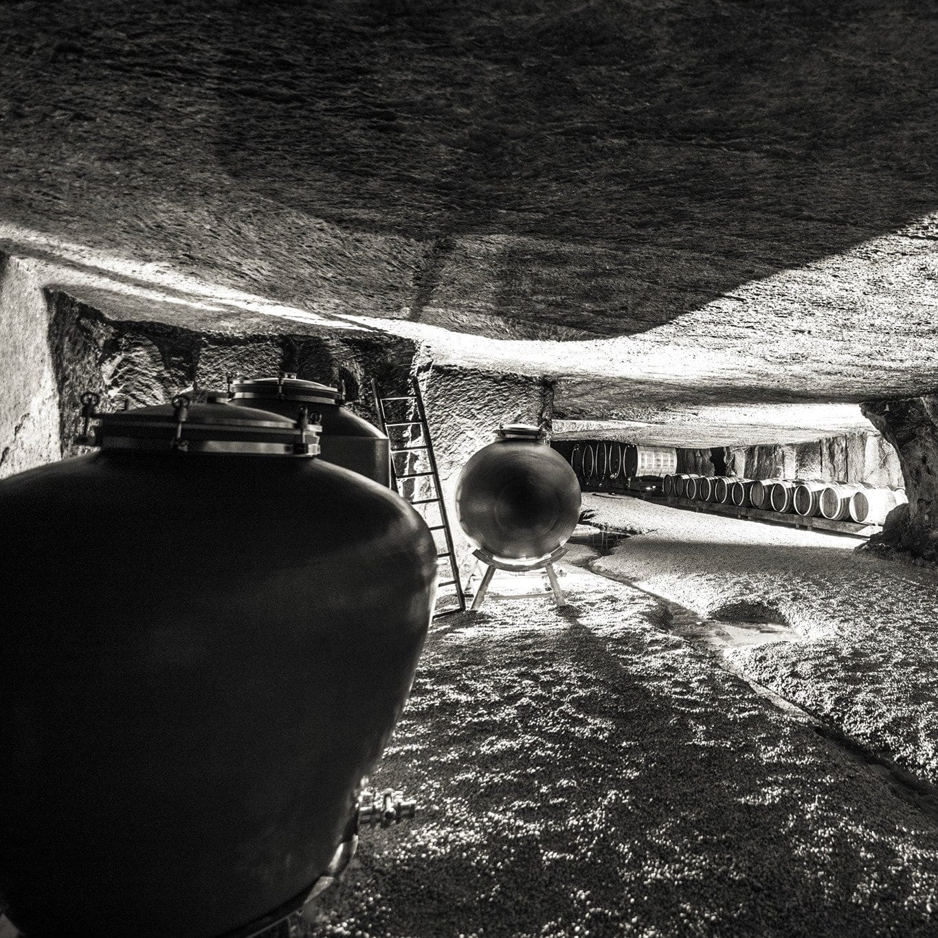 domaine bobinet - emeline calvez - sébastien - saumur - let it bib - vin nature - vin bio - bib bio - cubi bio - vin bio - 7