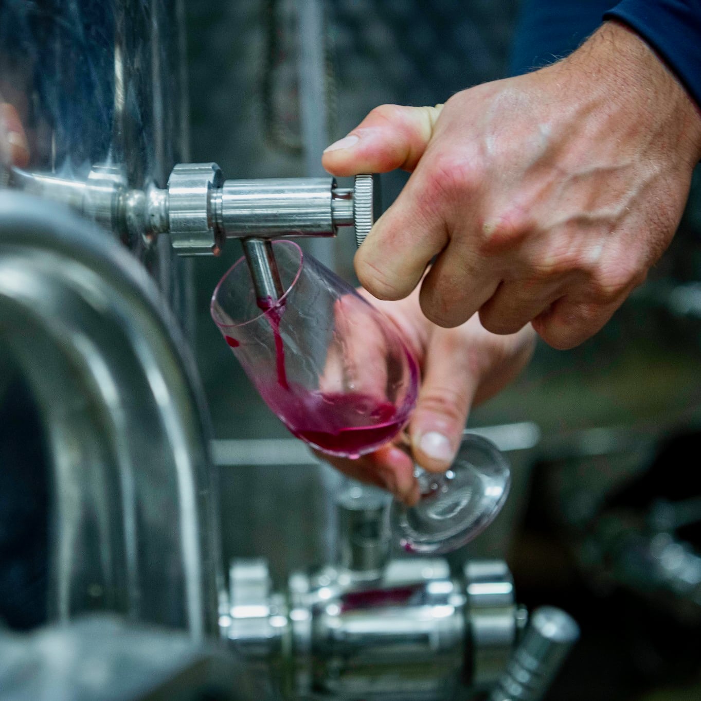 L'Envol des trois papillons rouges 2024 (Vin de France)