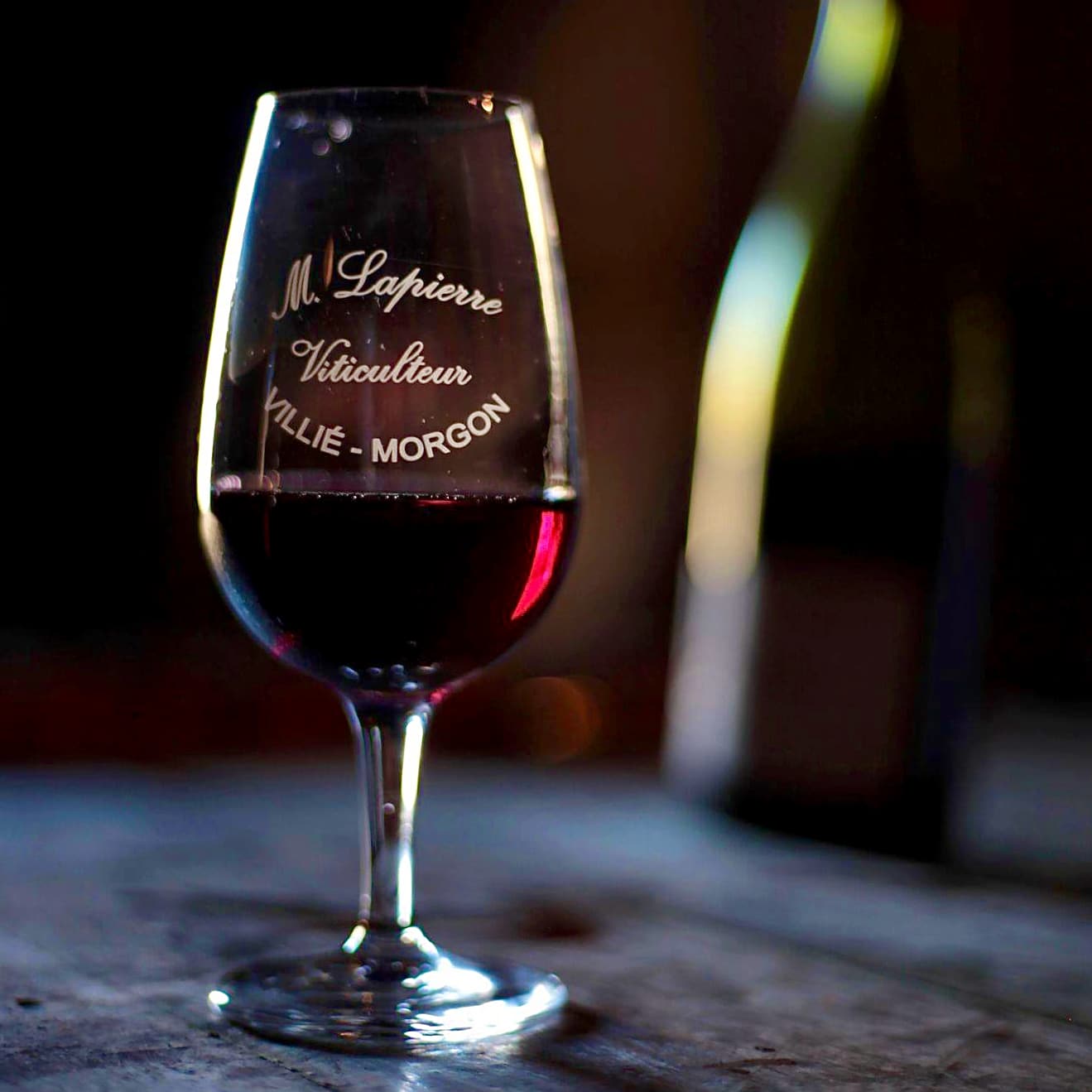 domaine marcel lapierre - camille et mathieu lapierre - raisins gaulois - beaujolais - gamay - morgon - let it bib - bib bio - cubi bio - bib nature - cubi nature - vin nature - 11