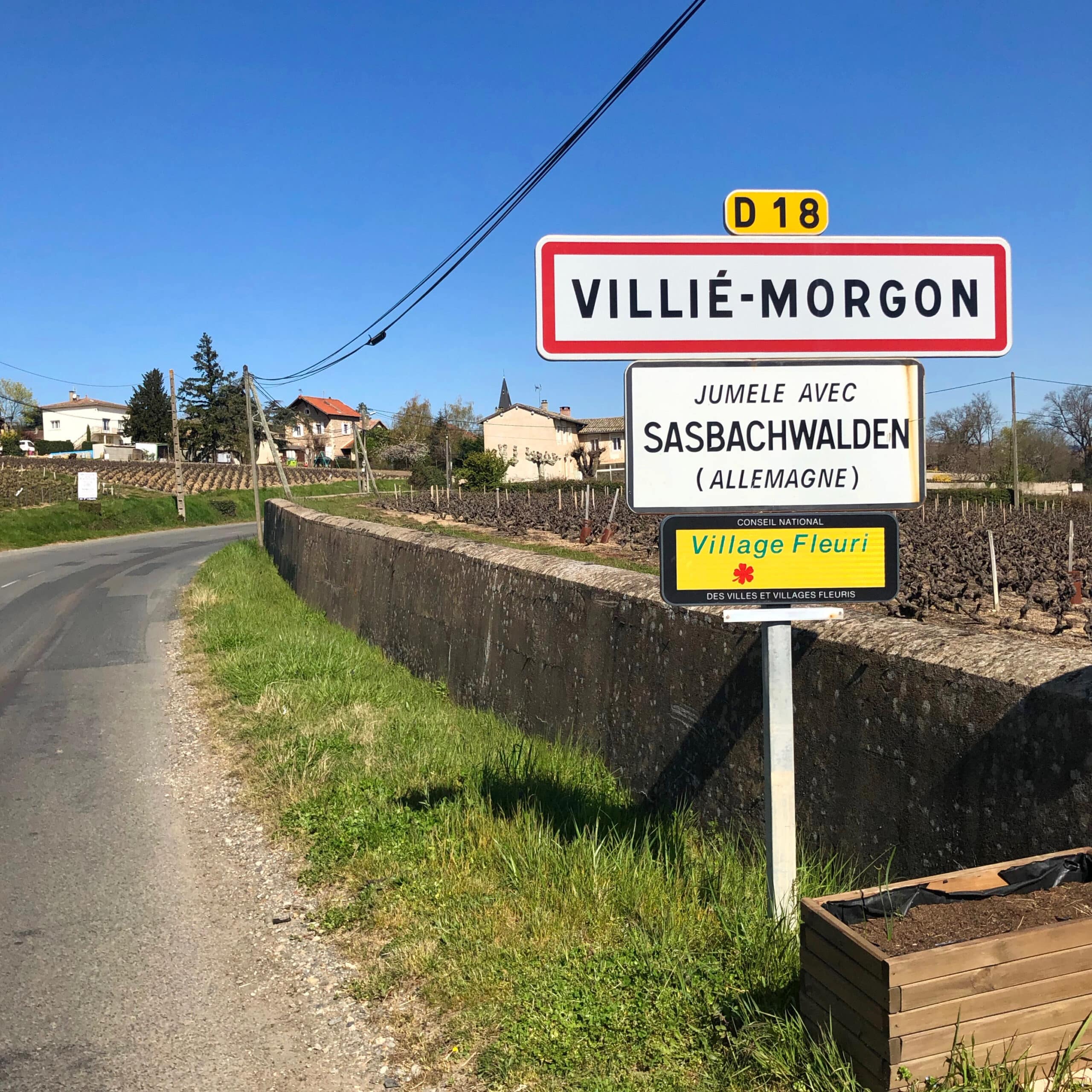 domaine marcel lapierre - camille et mathieu lapierre - raisins gaulois - beaujolais - gamay - morgon - let it bib - bib bio - cubi bio - bib nature - cubi nature - vin nature - 12
