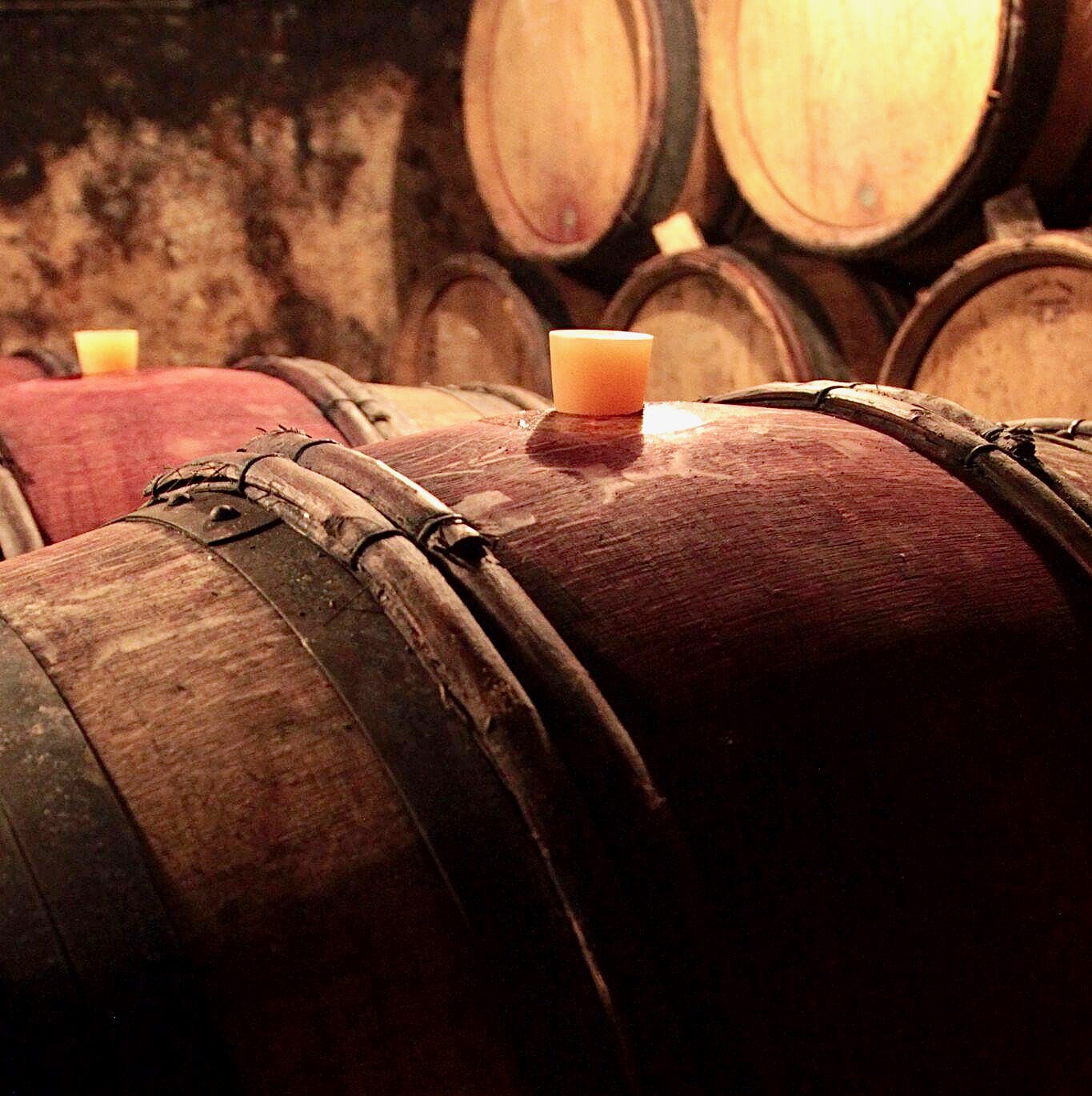 domaine marcel lapierre - camille et mathieu lapierre - raisins gaulois - beaujolais - gamay - morgon - let it bib - bib bio - cubi bio - bib nature - cubi nature - vin nature - 9