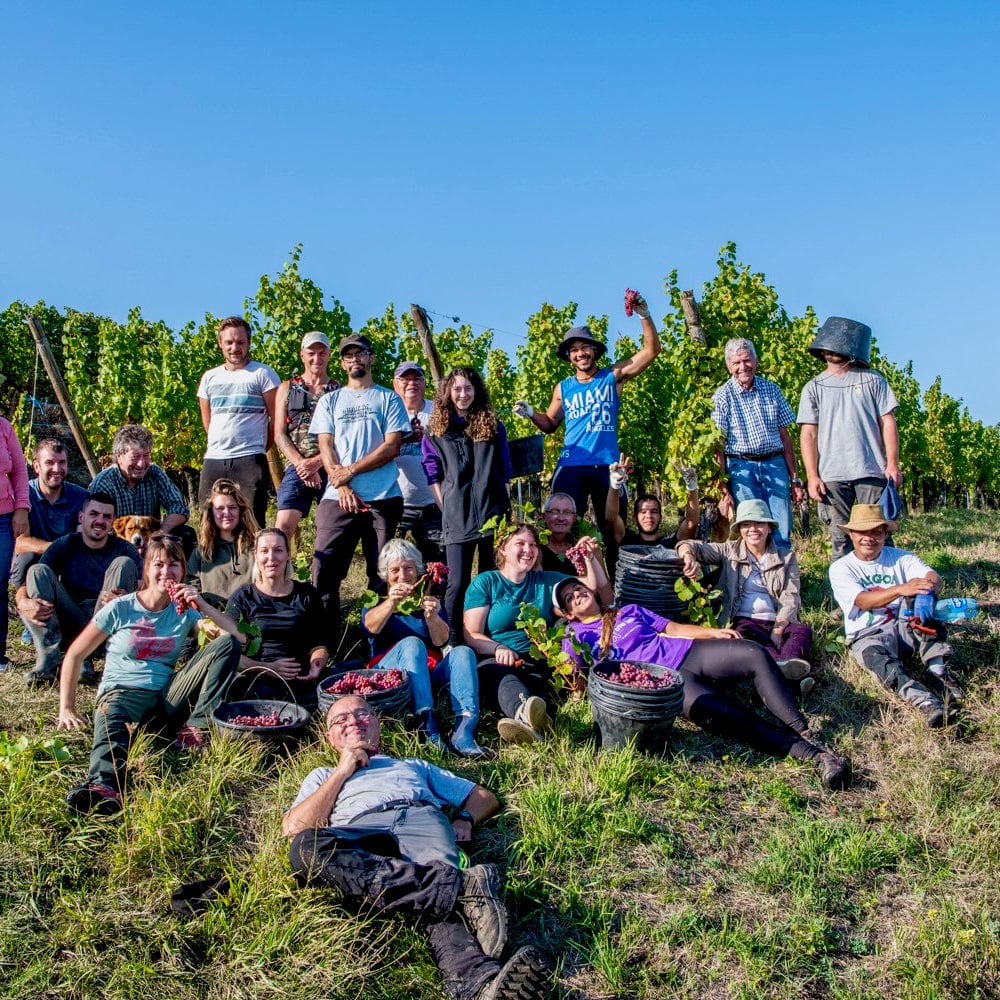 L'Envol des trois papillons blancs 2024 (Vin de France)