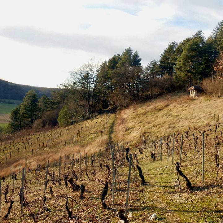 Le Rouge (trousseau) 2023 (Vin de France)