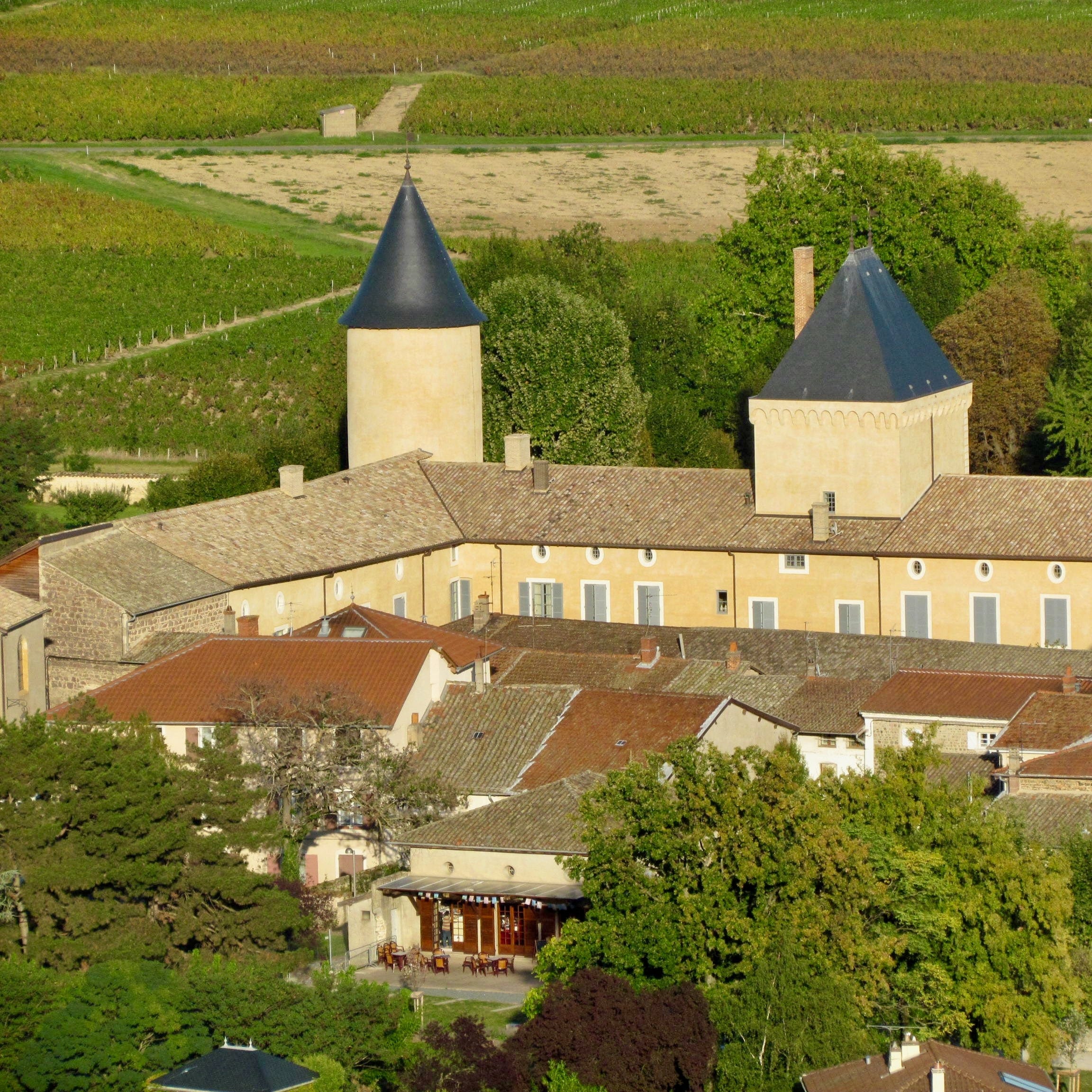 Red Submarine 1945 (AOC Brouilly)