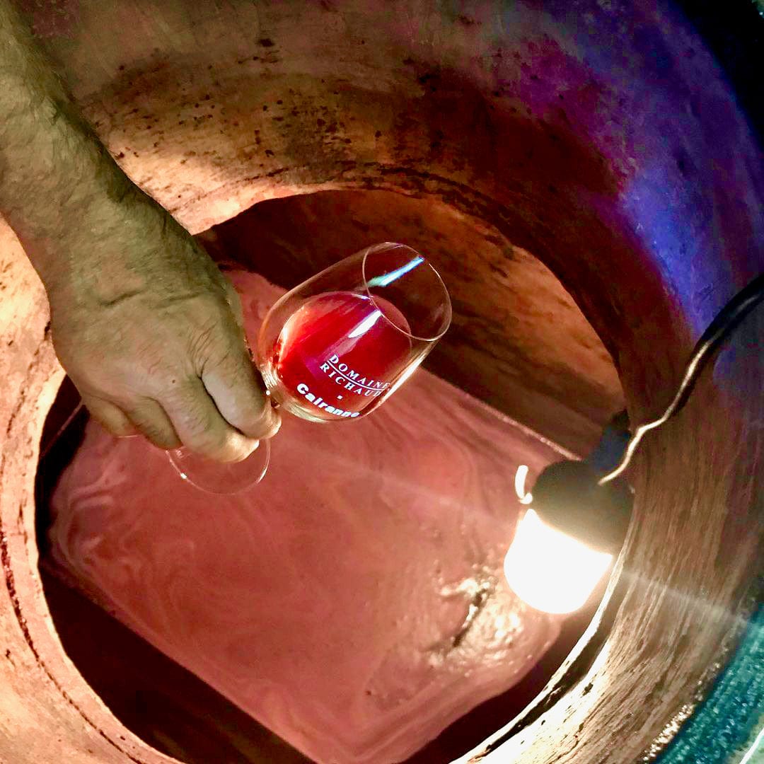 Les Petits Buis 2023 (AOC Côtes-du-Rhône)