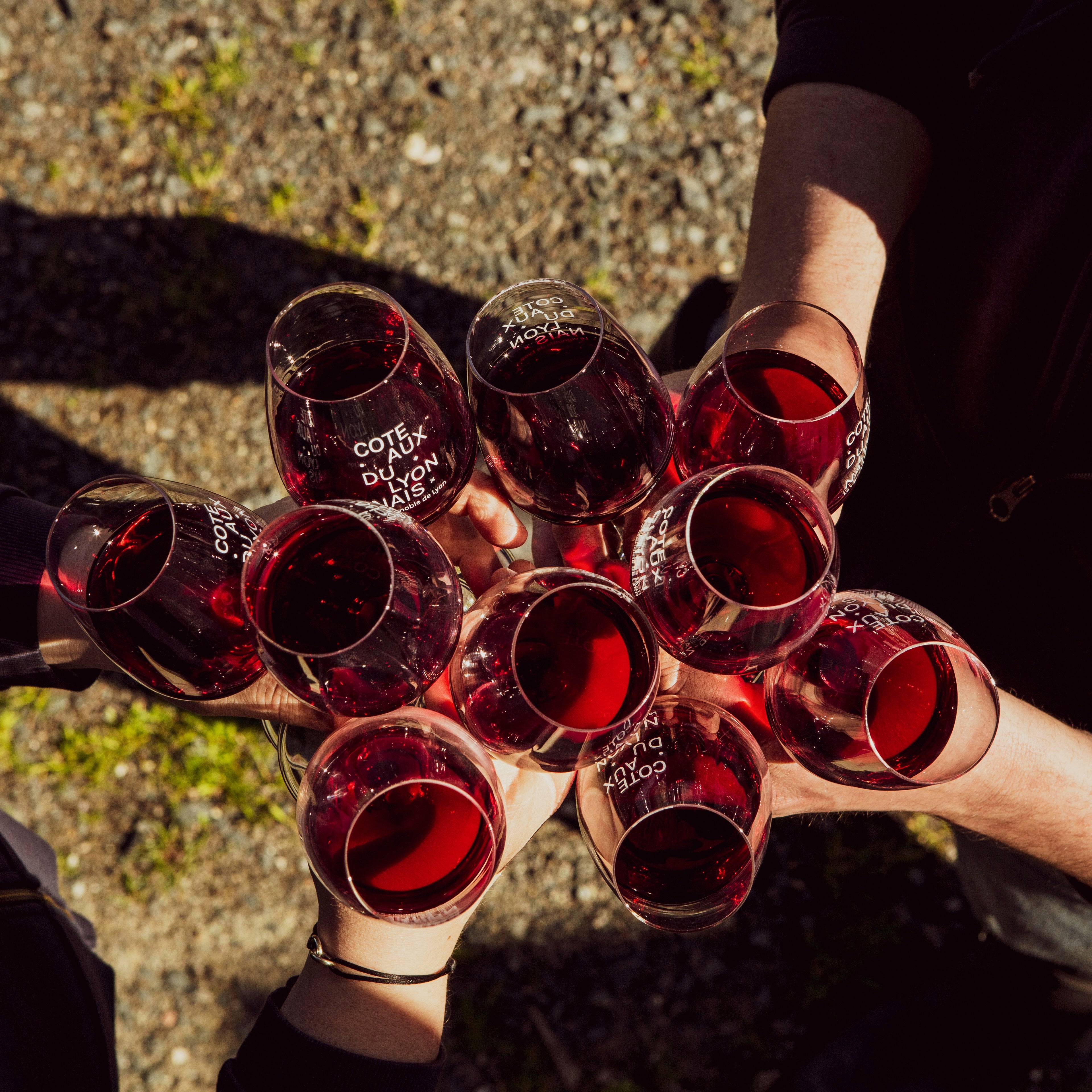 Entre copains 2024 (AOC Coteaux du Lyonnais)