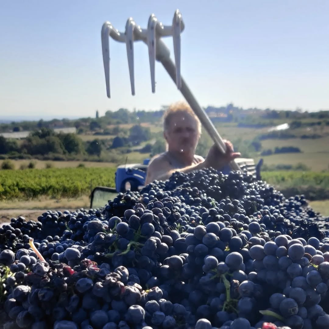 Entre copains 2024 (AOC Coteaux du Lyonnais)