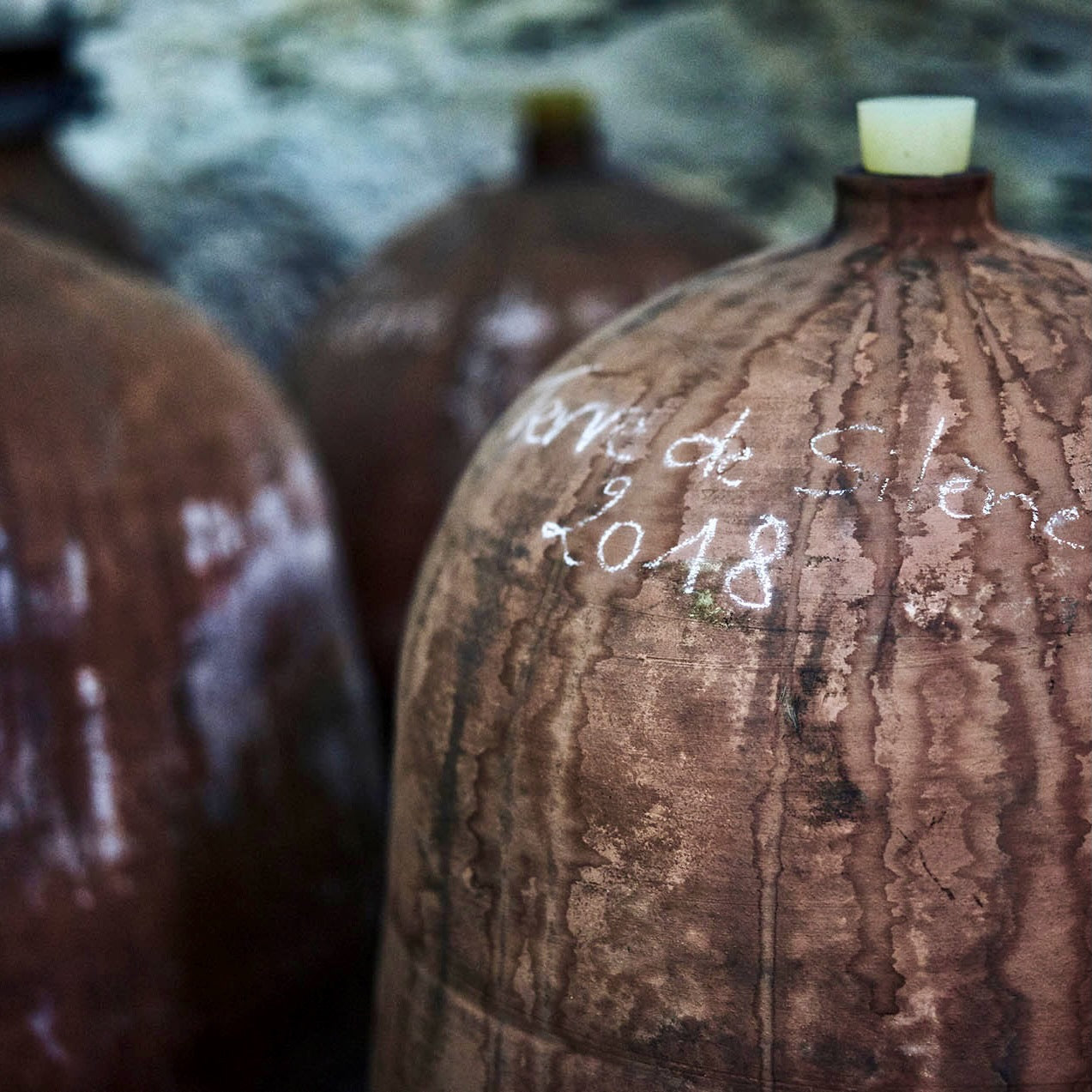 Entre copains 2024 (AOC Coteaux du Lyonnais)