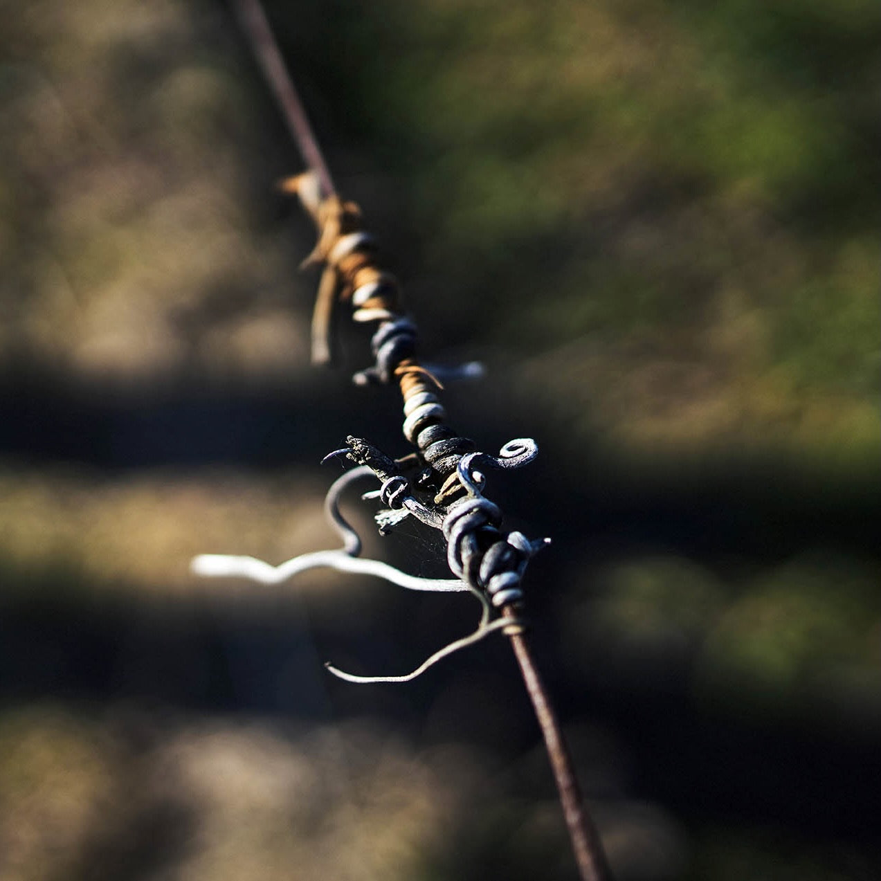 Entre copains 2024 (AOC Coteaux du Lyonnais)