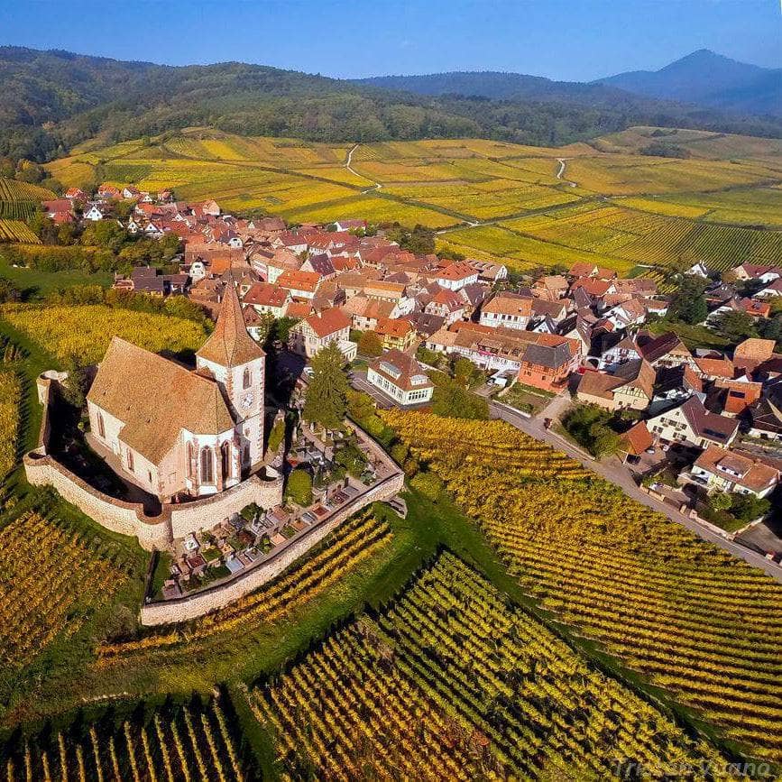 eblin-fuchs-sylvaner-pinot-gris-alsace-demeter-let-it-bib-bib bio-cubi-bio-vin-nature - 2