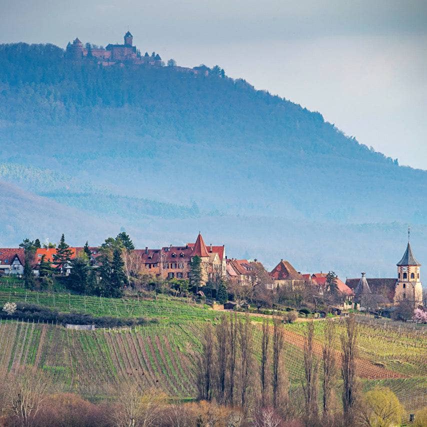 eblin-fuchs-sylvaner-pinot-gris-alsace-demeter-let-it-bib-bib bio-cubi-bio-vin-nature - 9