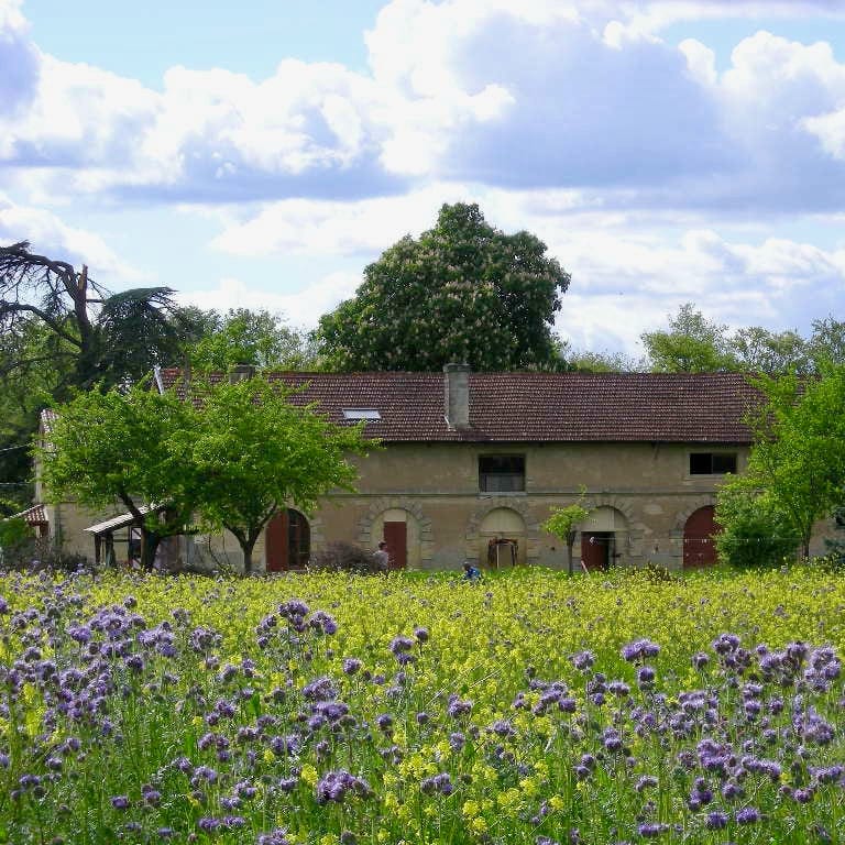 fourton la garenne - aude richard - sans sulfite - bib bio - cubi bio - demeter - vin nature - let it bib - bordeaux - 1