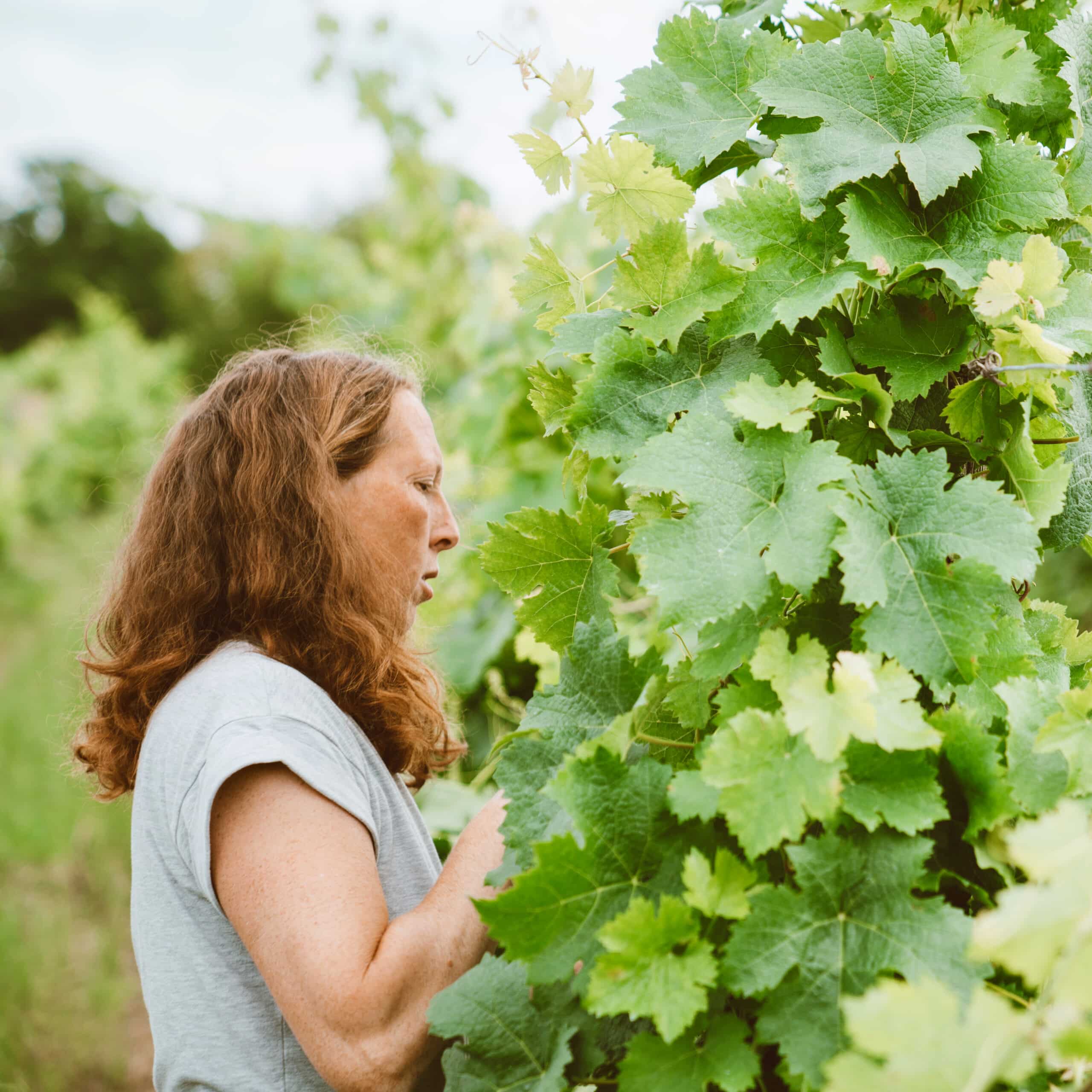 fourton la garenne - aude richard - sans sulfite - bib bio - cubi bio - demeter - vin nature - let it bib - bordeaux - 2