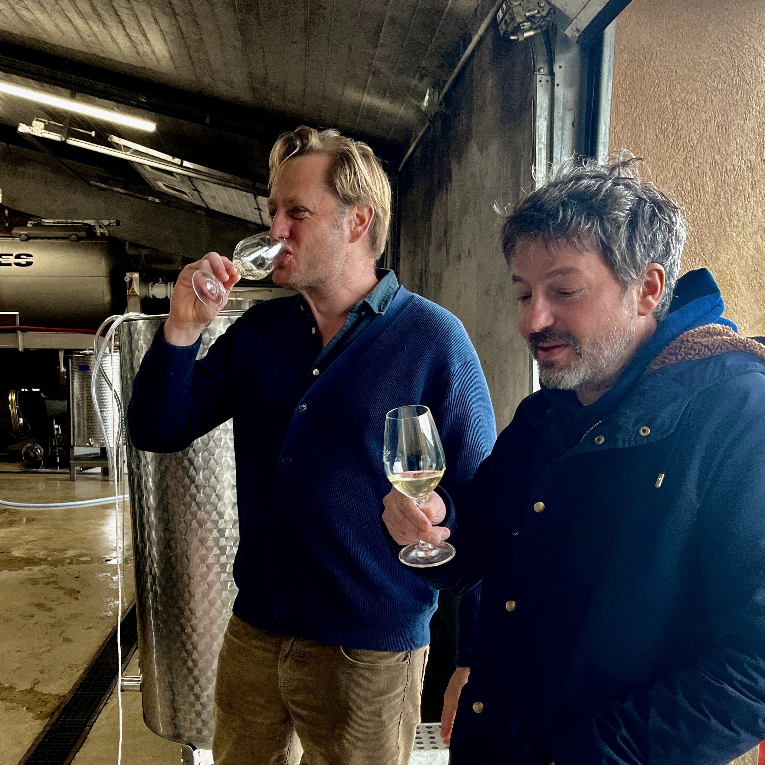 laurent bardainne - la mongestine - bob bardainne - vin nature - bib bio - cubi bio - bib nature - 1 (3)