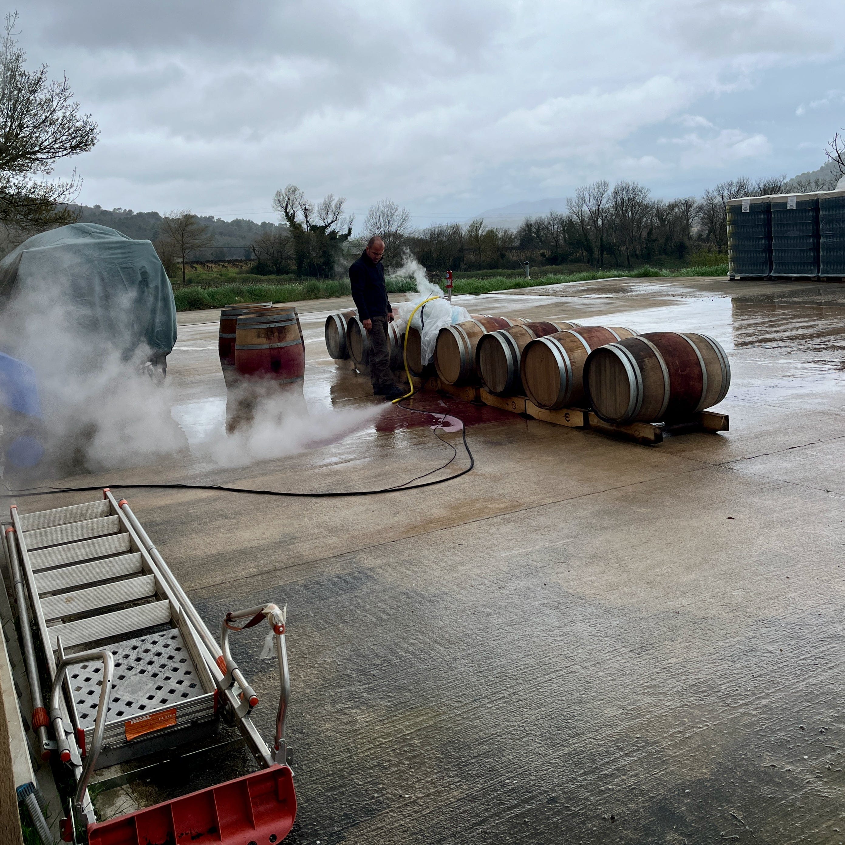 Bob Singlar rouge 2024 (Vin de France)