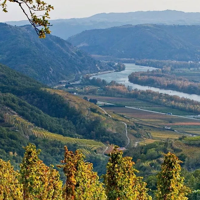 Cuvée S 2024 (AOC Crozes-Hermitage)