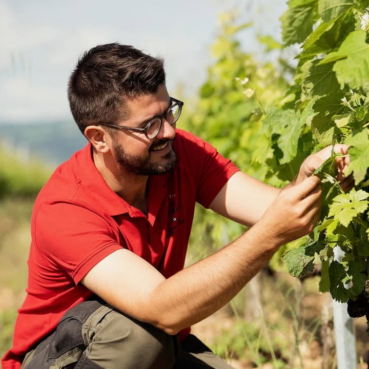 Cuvée S 2024 (AOC Crozes-Hermitage)