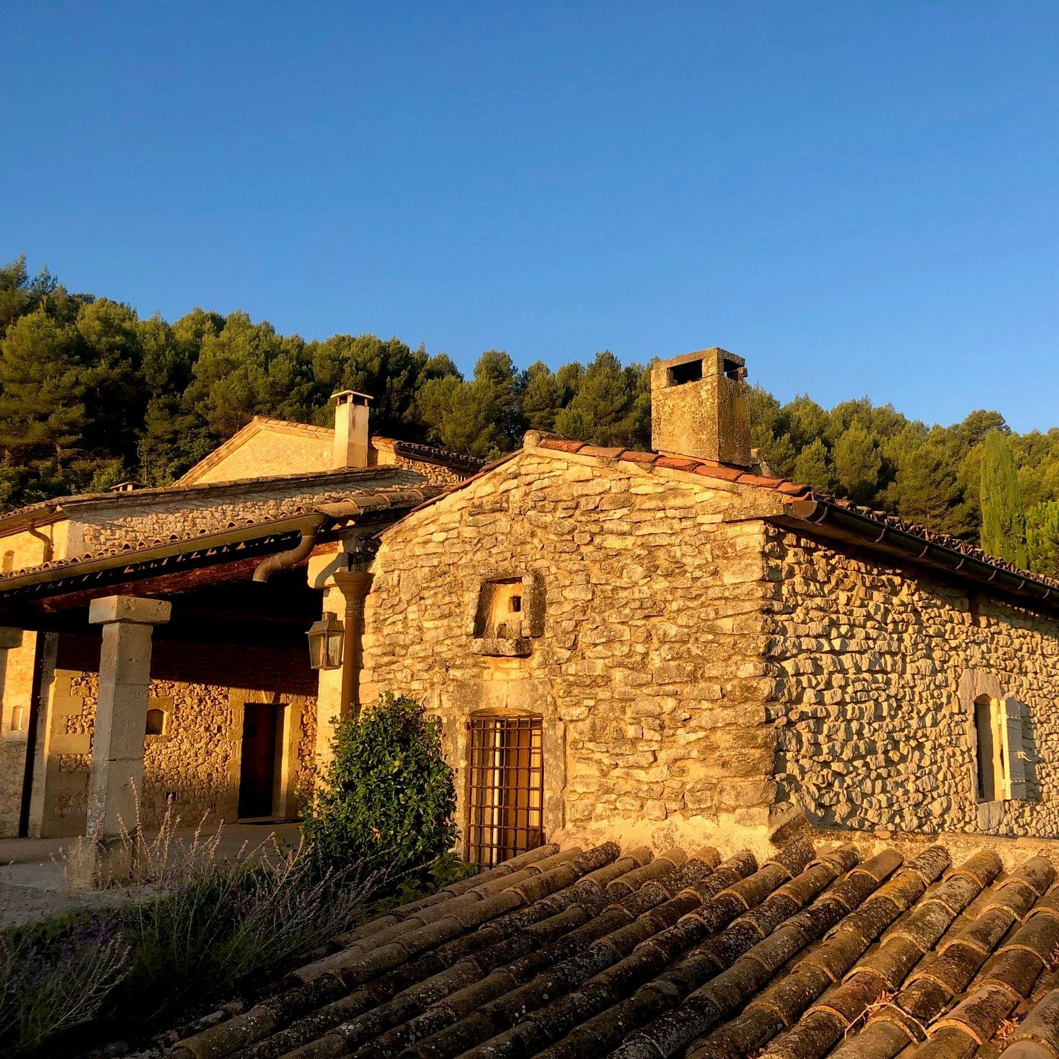 mas edem - farniente - rouge - cubi bio - bib bio - vin nature - let it bib - luberon - 4