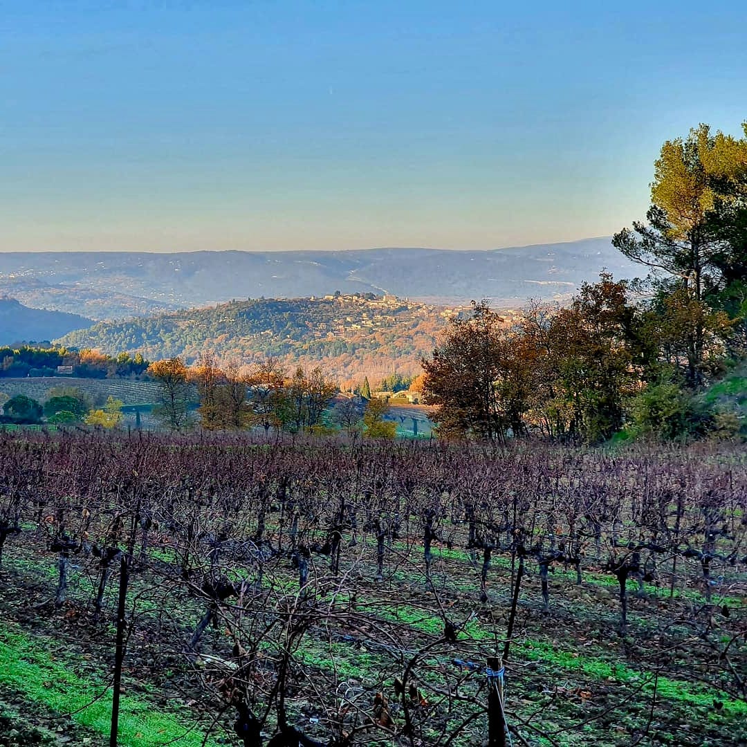mas edem - farniente - rouge - cubi bio - bib bio - vin nature - let it bib - luberon - 9