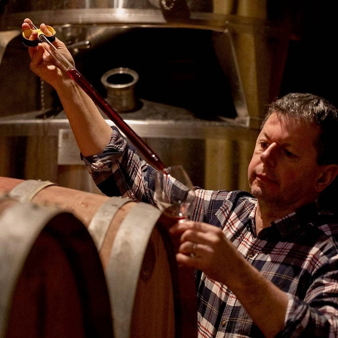 Le Tendre 2023 (Vin de France)