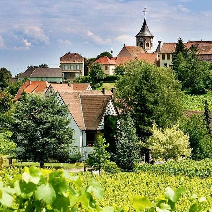 Le Tendre 2023 (Vin de France)