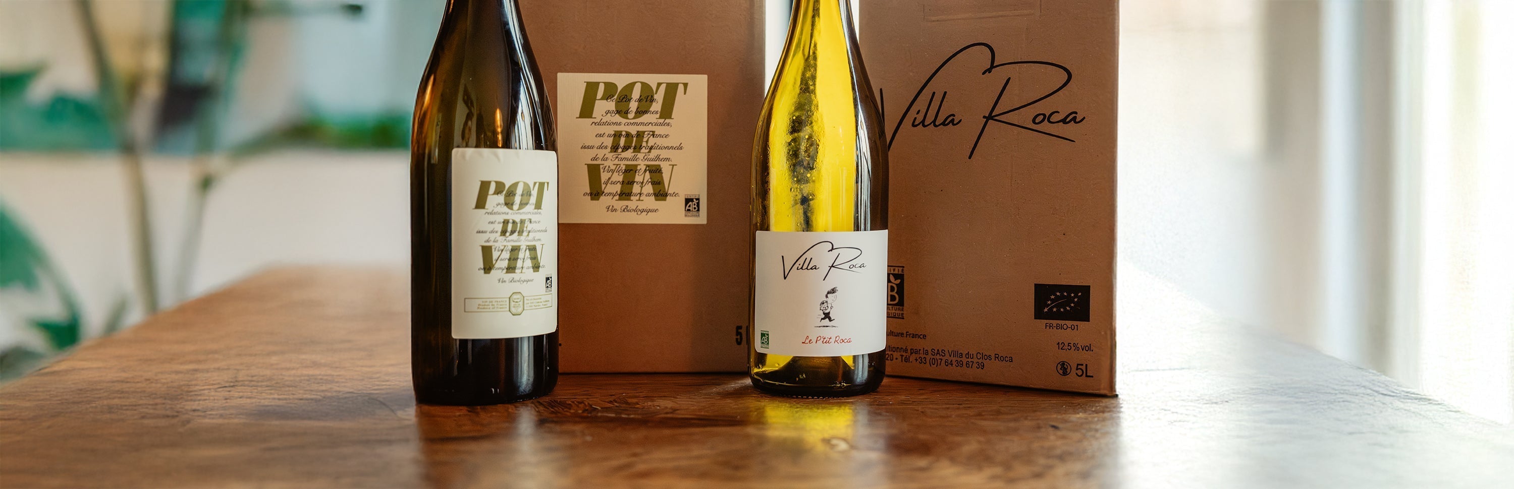 Comparaison visuelle entre un cubi de vin et plusieurs bouteilles en verre sur fond clair