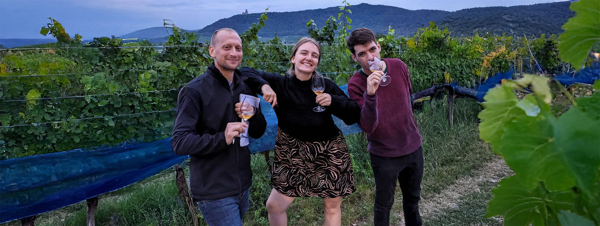 Conservation cubi rouge, blanc, rosé : y a-t-il une différence ?