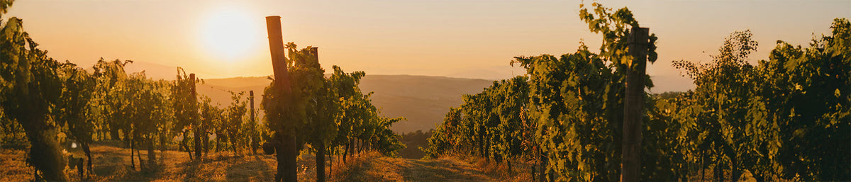 Qu'est-ce que les sulfites et pourquoi ça divise le monde du vin naturel ?