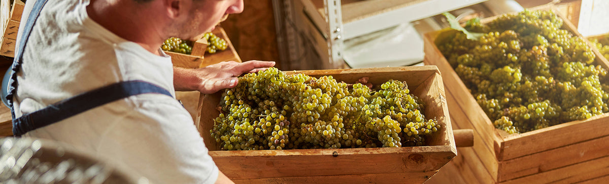 Vin en vrac, BIB ou bouteille : lequel est vraiment le plus écolo ?