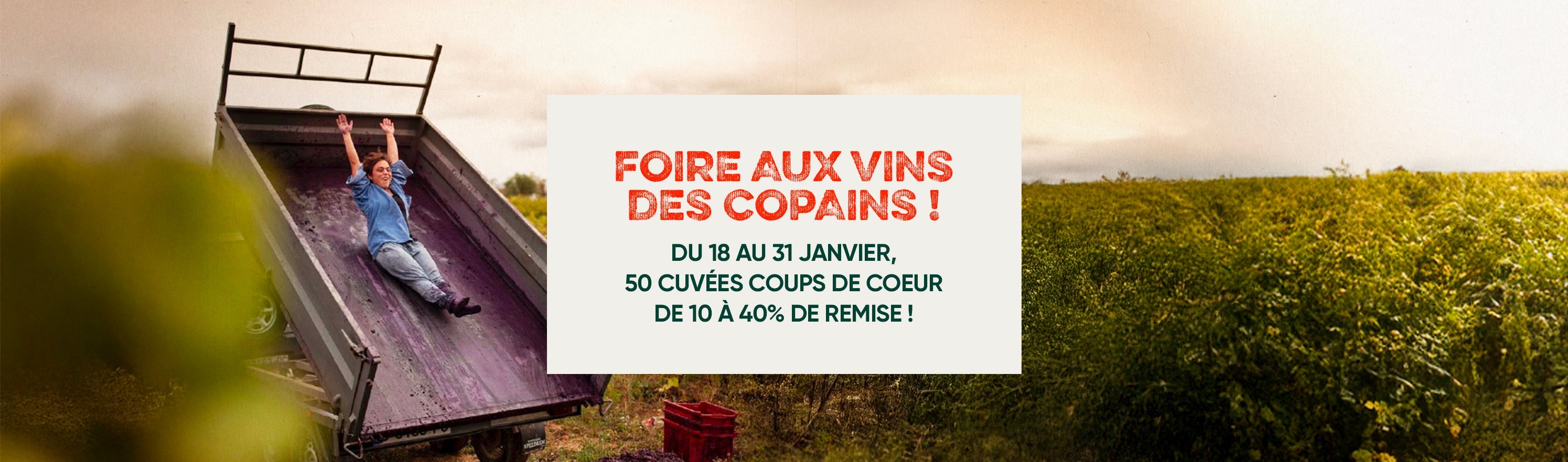Foire aux vins des copains !
