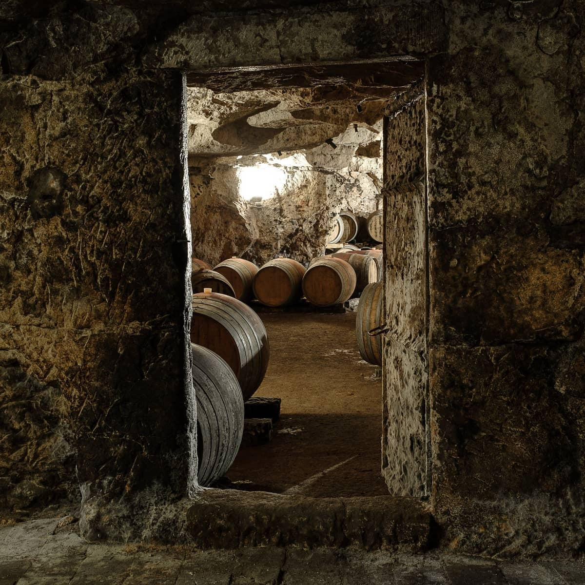 Un chien dans un jeu de quille 2024 (Vin de France)