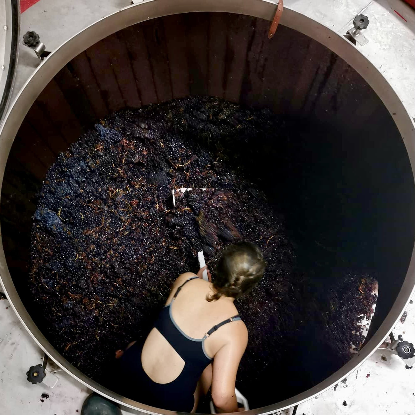 Un chien dans un jeu de quille 2024 (Vin de France)