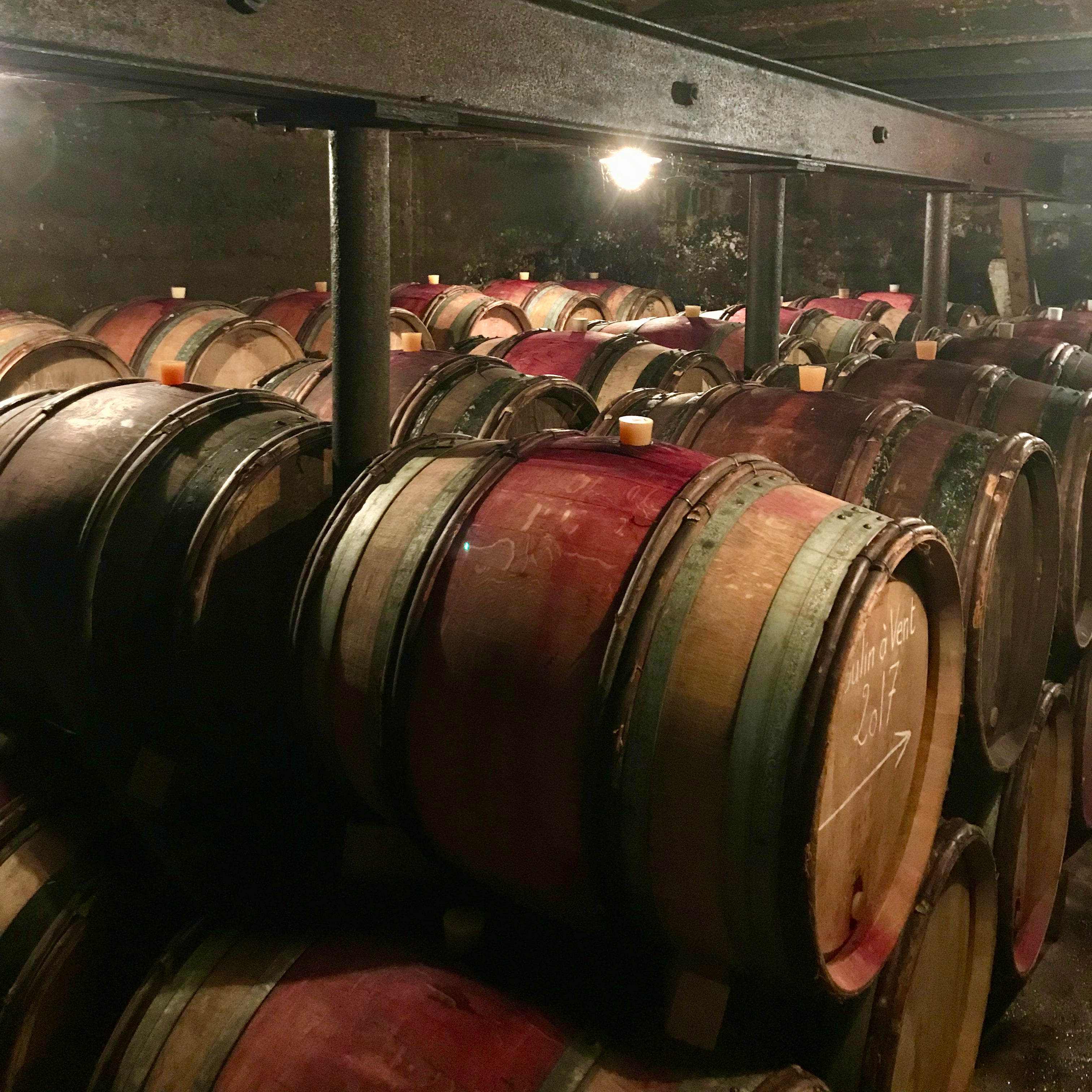 Pinot noir 2024 (IGP Comtés rhodaniens)