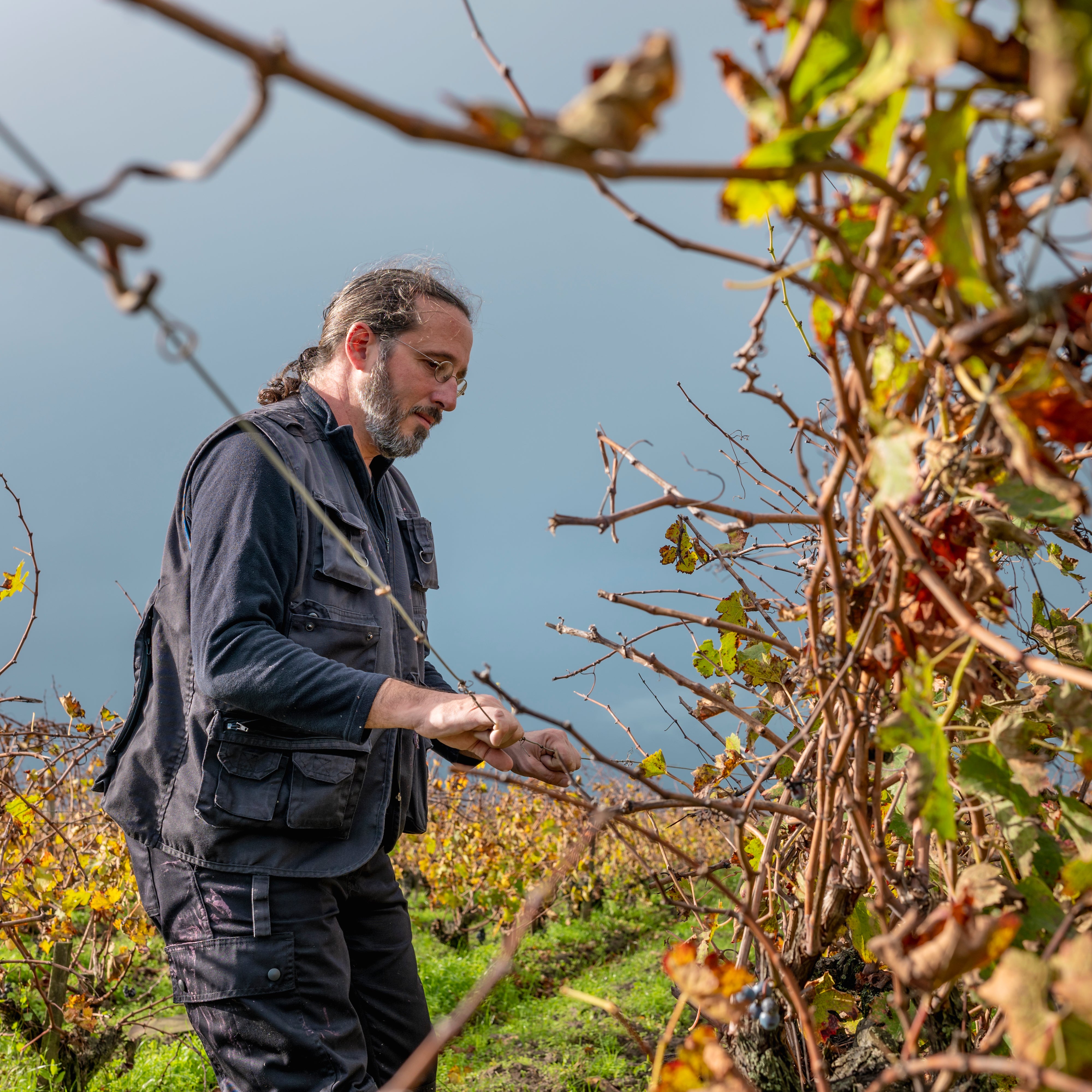 Médoc 2022 (AOC)