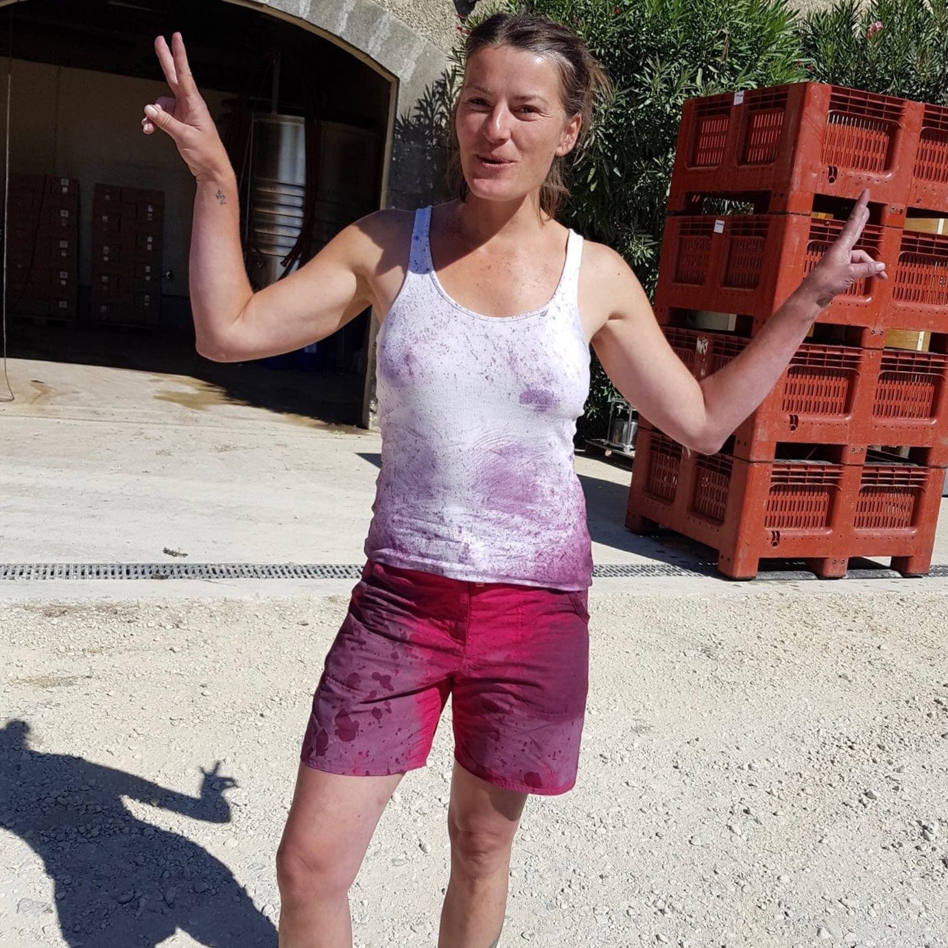 Les Petits Buis 2023 (AOC Côtes-du-Rhône)