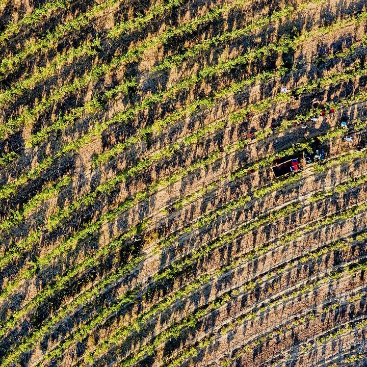 Manhac 2024 (Vin de France)