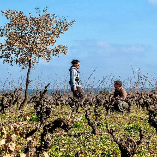Manhac 2024 (Vin de France)